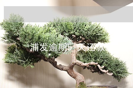 浦发逾期5天还款后 浦发逾期5天还款后