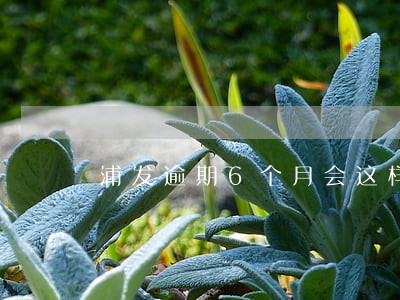 浦发逾期6个月会这样 浦发逾期6个月会这样