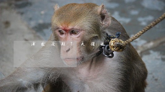 浦发逾期7天催收天 浦发逾期7天催收天