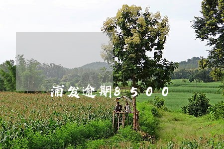 浦发逾期8500