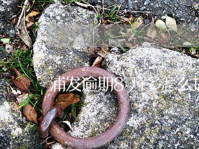 浦发逾期8万多怎么搞 浦发逾期8万多怎么搞