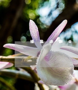 浦发逾期8天信用评估 浦发逾期8天信用评估