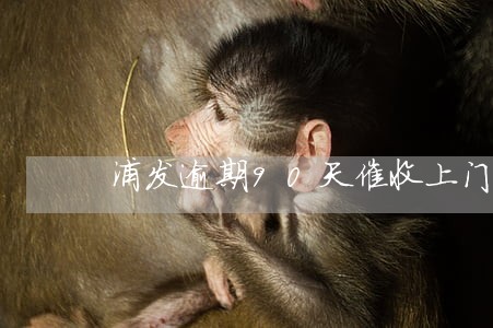 浦发逾期90天催收上门 浦发逾期90天催收上门