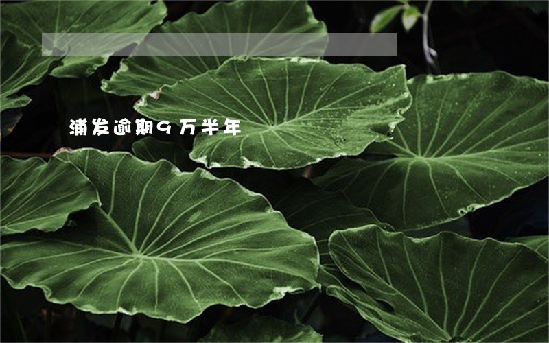 浦发逾期9万半年