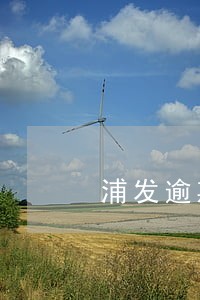 浦发逾期9个月可以分期付款 浦发逾期9个月可以分期付款