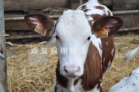 浦发逾期9天 浦发逾期9天