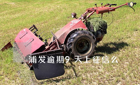浦发逾期9天上征信么 浦发逾期9天上征信么