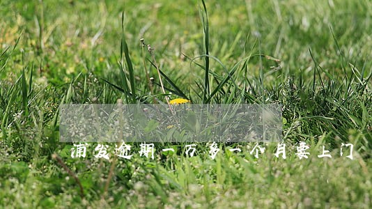 浦发逾期一万多一个月要上门 浦发逾期一万多一个月要上门