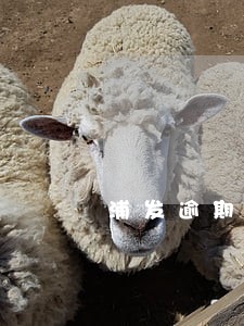 浦发逾期一万多没还会怎么样 浦发逾期一万多没还会怎么样