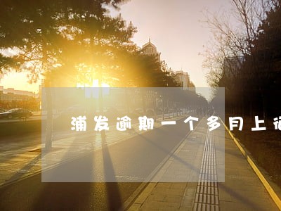 浦发逾期一个多月上征信吗 浦发逾期一个多月上征信吗