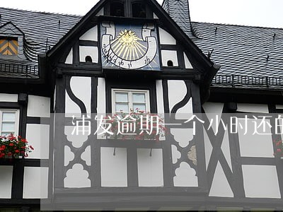 浦发逾期一个小时还的最低 浦发逾期一个小时还的最低