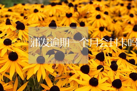 浦发逾期一个月会封卡吗