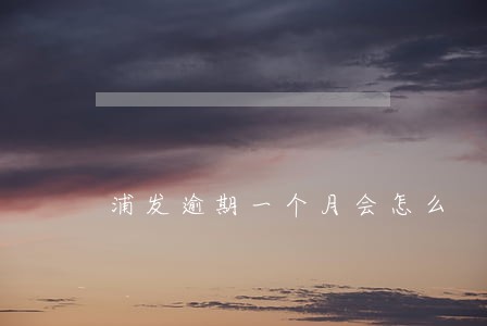 浦发逾期一个月会怎么 浦发逾期一个月会怎么