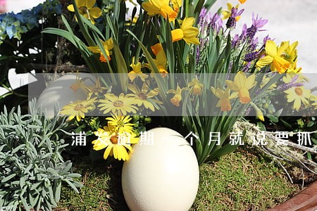 浦发逾期一个月就说要抓人 浦发逾期一个月就说要抓人