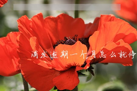 浦发逾期一个月怎么就停卡了 浦发逾期一个月怎么就停卡了