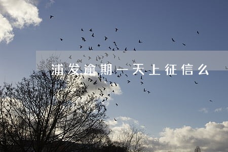 浦发逾期一天上征信么 浦发逾期一天上征信么