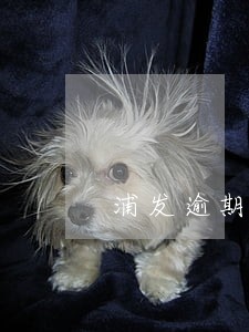 浦发逾期一天会上征信吗 浦发逾期一天会上征信吗