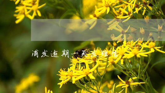 浦发逾期一天发短信