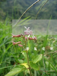 浦发逾期一天就停卡了 浦发逾期一天就停卡了