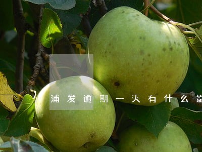 浦发逾期一天有什么影响 浦发逾期一天有什么影响