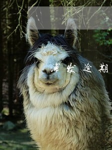 浦发逾期一天算不算逾期 浦发逾期一天算不算逾期