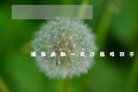 浦发逾期一天还最低可不可以 浦发逾期一天还最低可不可以