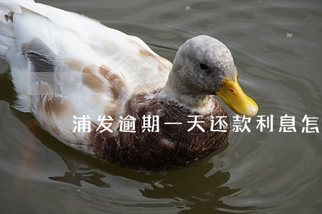 浦发逾期一天还款利息怎么算