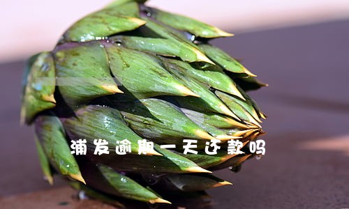 浦发逾期一天还款吗 浦发逾期一天还款吗