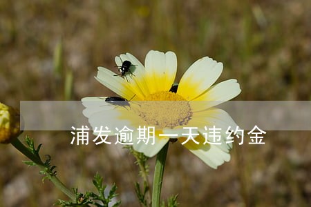 浦发逾期一天违约金 浦发逾期一天违约金