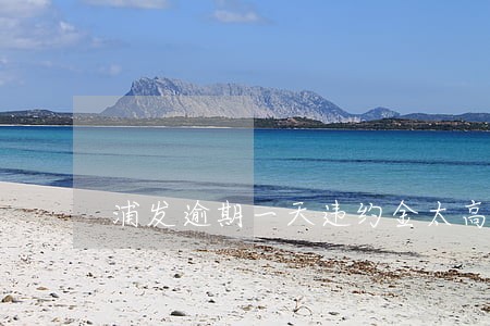 浦发逾期一天违约金太高了 浦发逾期一天违约金太高了