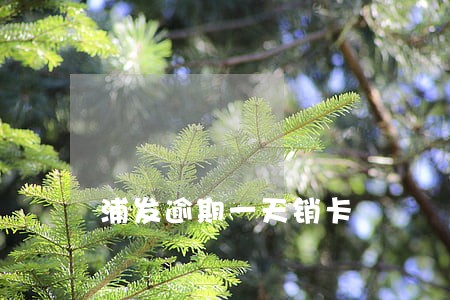 浦发逾期一天销卡 浦发逾期一天销卡