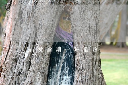 浦发逾期一年催收 浦发逾期一年催收