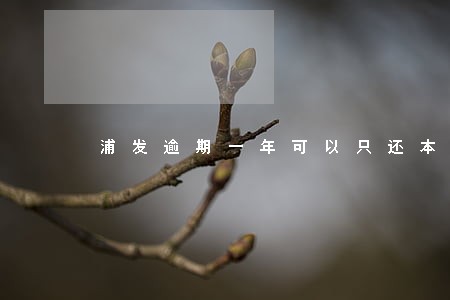 浦发逾期一年可以只还本金吗 浦发逾期一年可以只还本金吗