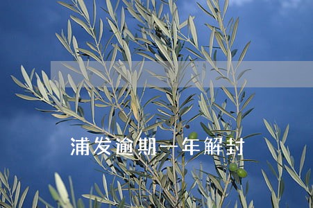 浦发逾期一年解封 浦发逾期一年解封