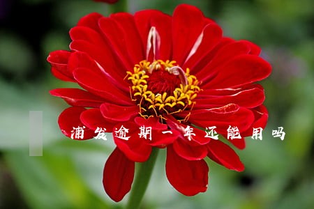 浦发逾期一年还能用吗 浦发逾期一年还能用吗