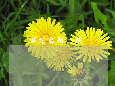 浦发逾期一期 浦发逾期一期