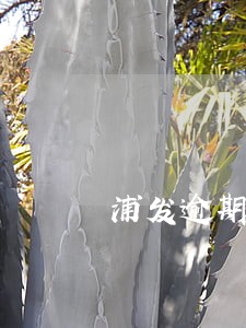 浦发逾期一直打电话 浦发逾期一直打电话