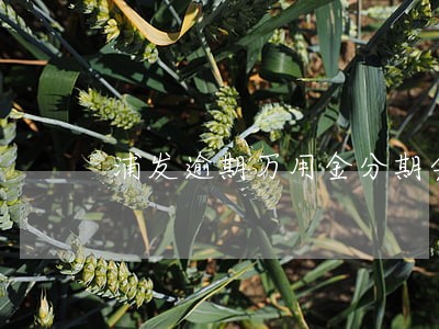 浦发逾期万用金分期会取消吗 浦发逾期万用金分期会取消吗