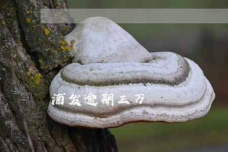 浦发逾期三万 浦发逾期三万