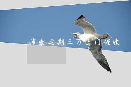 浦发逾期三万上门催收 浦发逾期三万上门催收