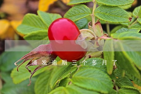 浦发逾期三个多月了 浦发逾期三个多月了