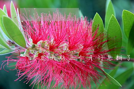 浦发逾期三个月利息翻了一倍 浦发逾期三个月利息翻了一倍