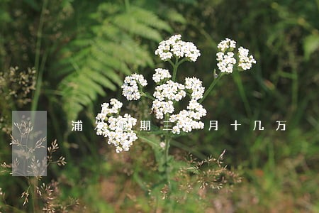 浦发逾期三个月十几万 浦发逾期三个月十几万