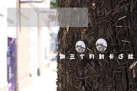 浦发逾期三个月封卡还能恢复 浦发逾期三个月封卡还能恢复