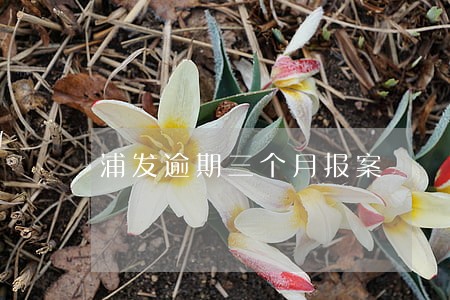 浦发逾期三个月报案 浦发逾期三个月报案
