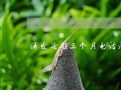 浦发逾期三个月电话没接 浦发逾期三个月电话没接