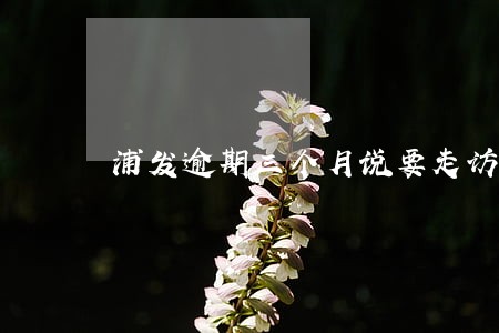 浦发逾期三个月说要走访单位 浦发逾期三个月说要走访单位