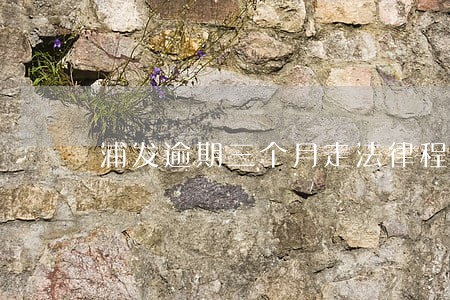 浦发逾期三个月走法律程序 浦发逾期三个月走法律程序