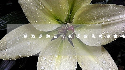 浦发逾期三个月还款先抵本金吗 浦发逾期三个月还款先抵本金吗