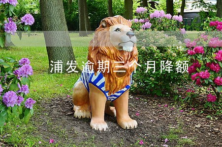浦发逾期三个月降额 浦发逾期三个月降额